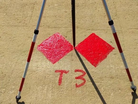 飞马d200无人机在生态修复项目中的应用